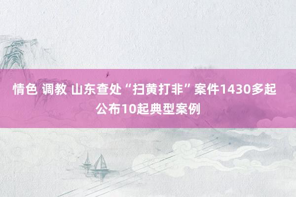 情色 调教 山东查处“扫黄打非”案件1430多起  公布10起典型案例