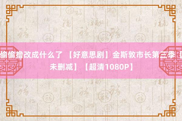 偷偷撸改成什么了 【好意思剧】金斯敦市长第三季【未删减】【超清1080P】